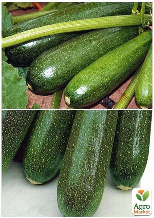 На развес Кабачок "Аэронавт" ТМ "Весна" цена за 8г - фото 3