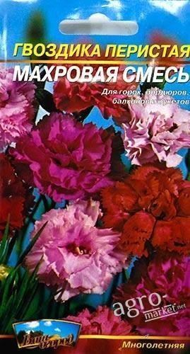 Гвоздика перистая "Махровая смесь" ТМ "Весна" 0.3г - фото 2