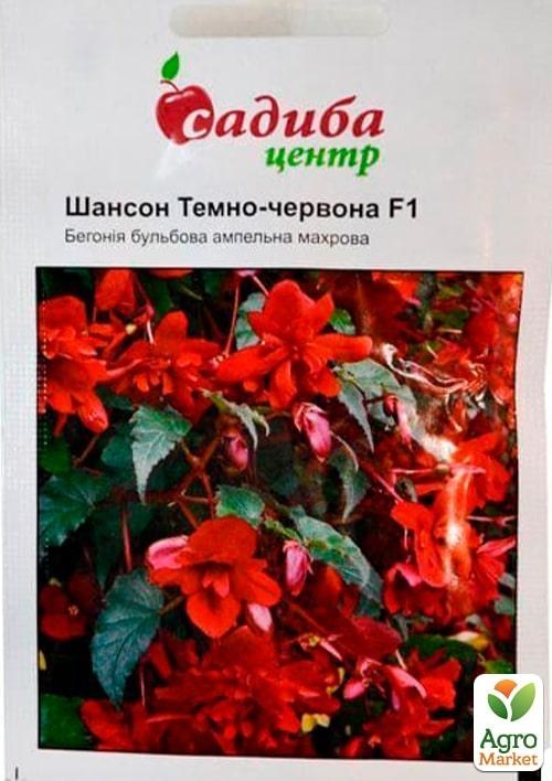 Бегония "Шансон F1 темно-красная" ТМ "Садиба центр" 10шт