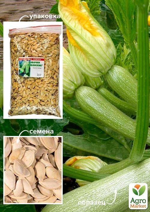 Кабачки "Грибовские" ТМ "Весна" 500г