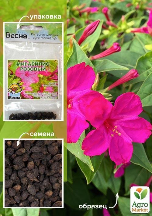 Мірабіліс "Рожевий" (Зипер) ТМ "Весна" 1.5г