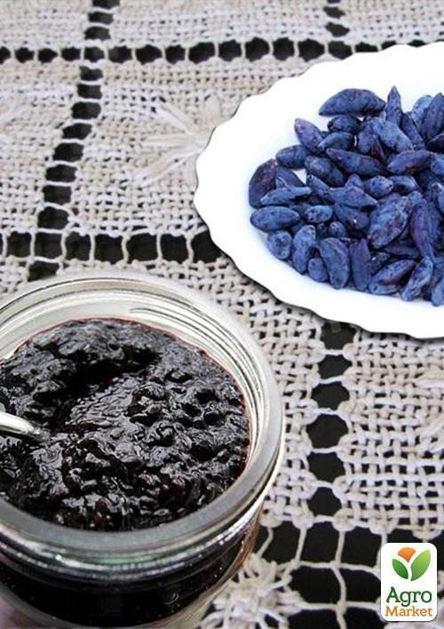 Жимолость "Сельгинка" (ранний срок созревания, очень урожайный сорт) - фото 5