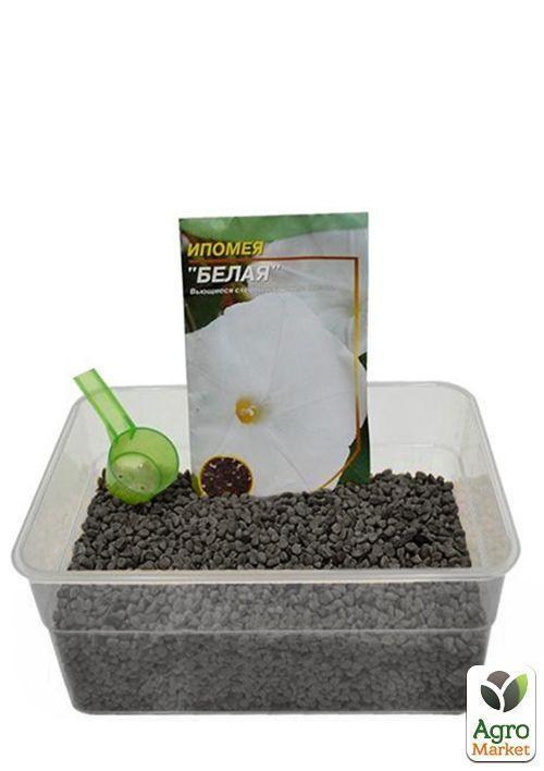 На развес Ипомея белая ТМ "Весна" цена  за 2г - фото 4