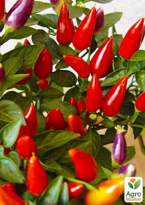 Капсикум Сальса "Yellow" - фото 2