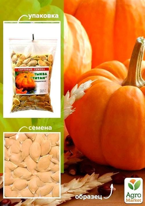 Тыква "Титан" ТМ "Весна" 100г