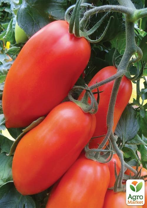 Томат "Єлисей" ТМ "Vesna Select" 0.2г