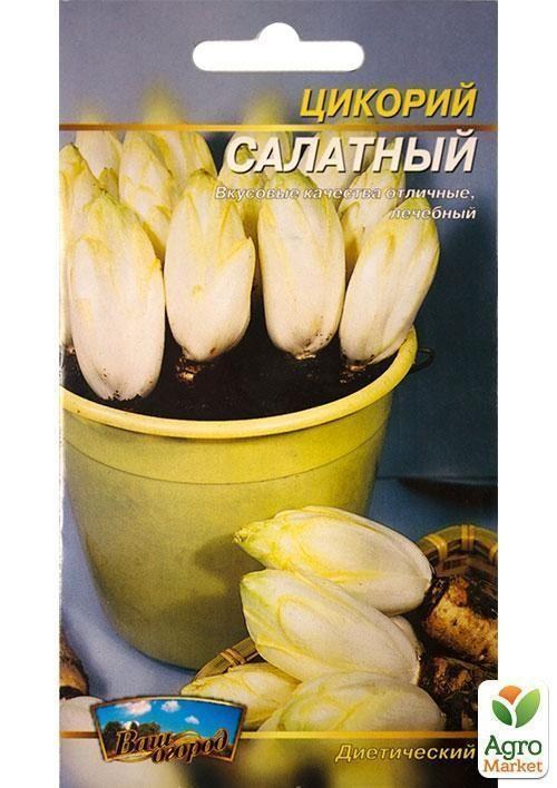 Цикорий "Салатный" ТМ "Весна" 0.3г - фото 2
