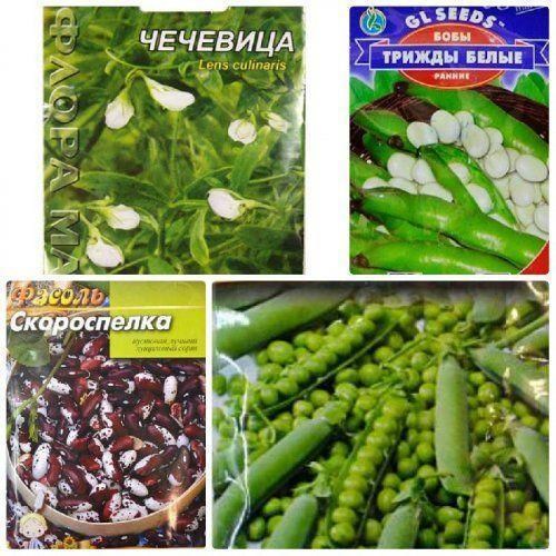 Комплект семян бобовый "Суповой переполох" 10уп