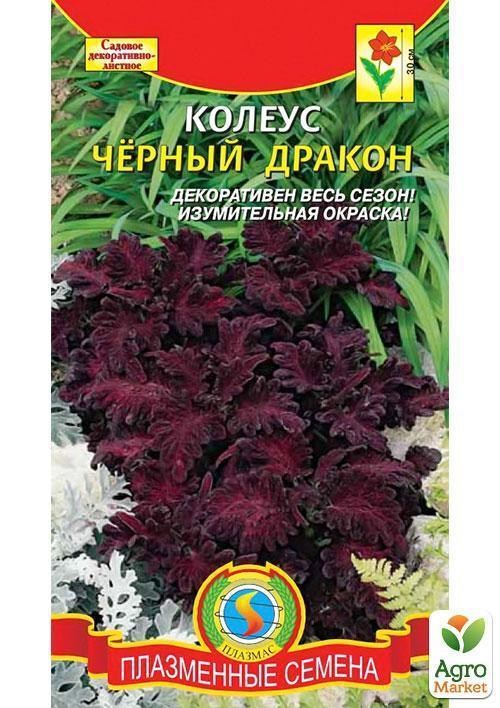 Колеус "Чёрный дракон" ТМ "Плазменные семена" 10шт