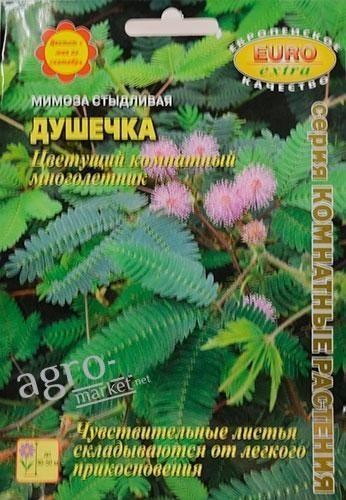 Мімоза сором'язлива "Душка" ТМ "АЕЛІТА" 0.05г