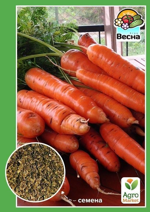 Морква "Флакко" ТМ "Весна" 2г