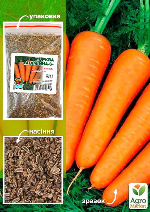 Морковь "Витаминная-6" ТМ "Весна" 100г