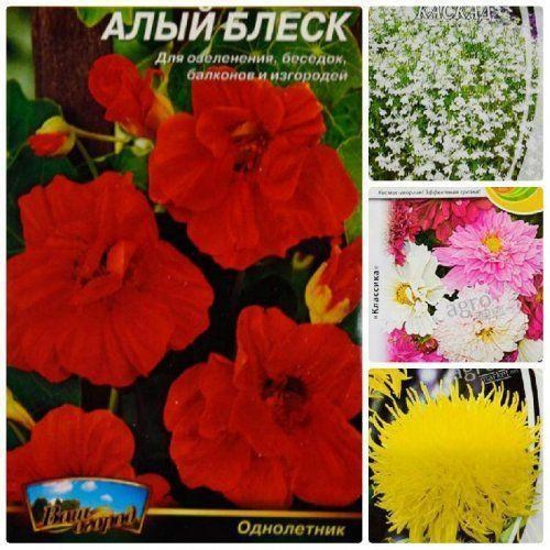 Комплект семян цветов "Туманое утро" 5уп