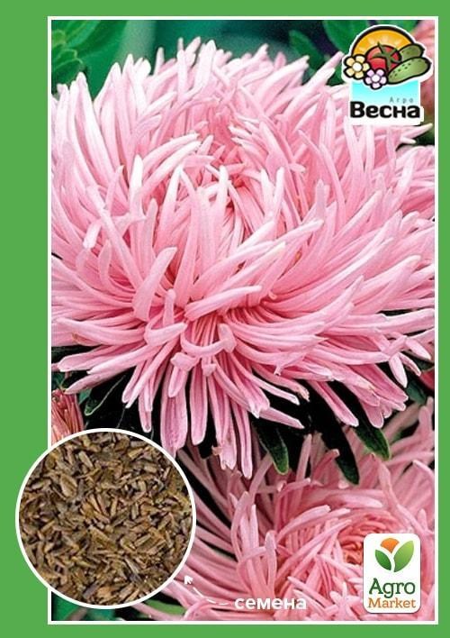 Астра "Гигантские лучи" розовая ТМ "Весна" 0.2г