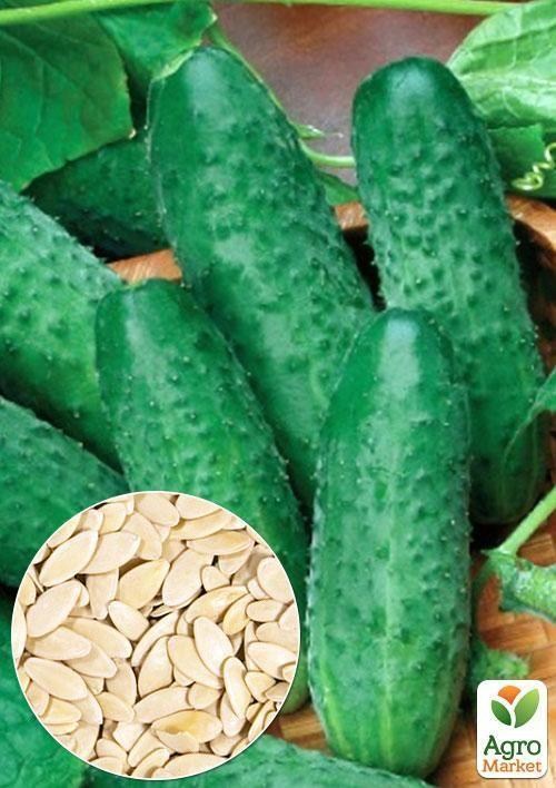 На развес Огурец "Крак F1" ТМ "Весна" цена за 4г