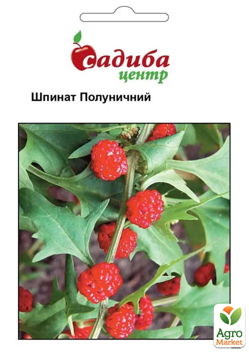 Шпинат "Земляничный" ТМ "Садиба центр" 0.1г