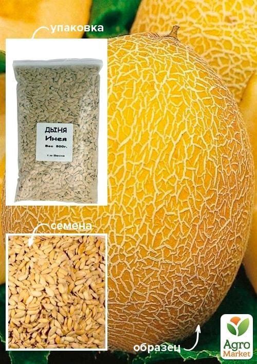 Диня "Инея" ТМ "Весна" 500г