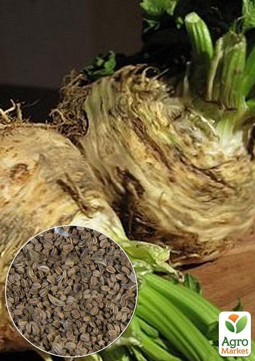 На вагу Селера коренева "Аніта" ТМ "Весна" ціна за 2г