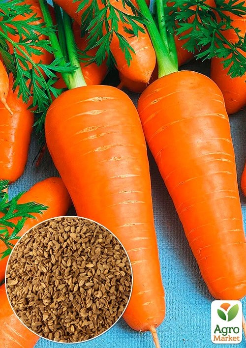 Морква "Арго" (Зіпер) ТМ "Весна" 5г 