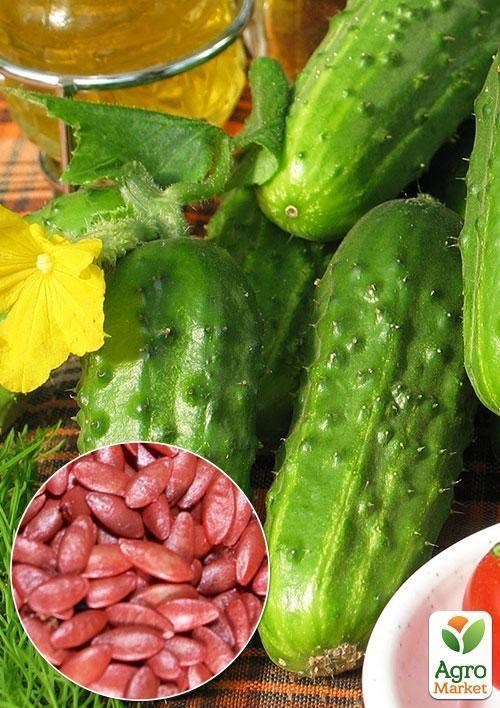 На вагу Огірок "Мона F1" ТМ "Весна" ціна за 1г