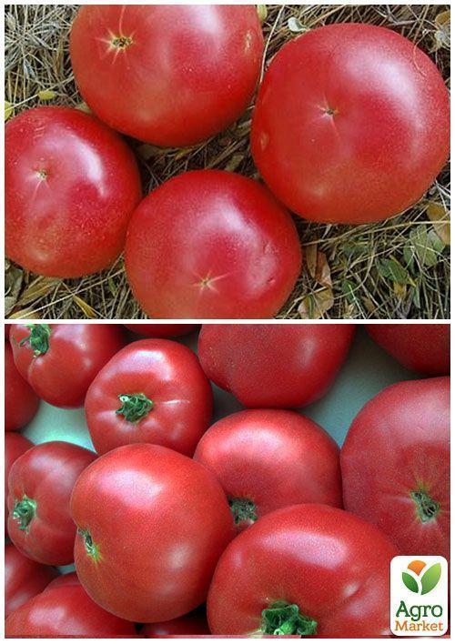 На вагу Томат "Слов'янський шедевр" ТМ "Весна" ціна за 1г - фото 3