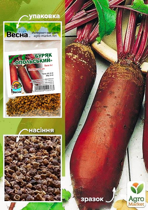 Свекла "Опольская" (Зипер) ТМ "Весна" 6г