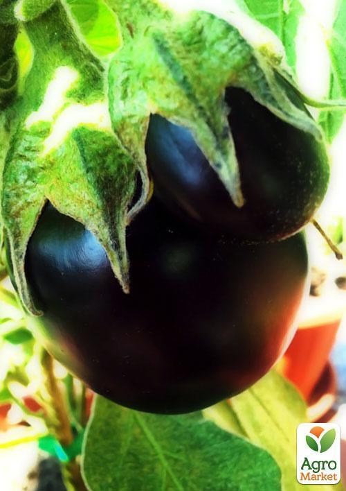 Баклажан "Карлсон" ТМ "Vesna Select" 20шт 