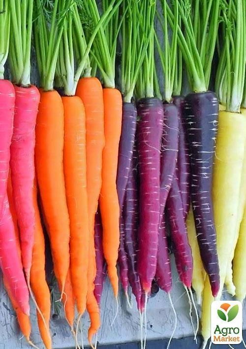 Морква "Веселка" ТМ "Vesna Exclusive" 40шт