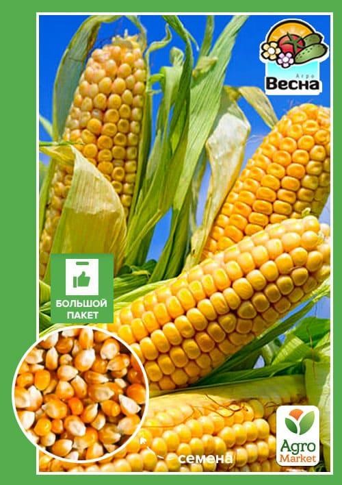 Кукурудза "Багратіон" (Великий пакет) ТМ "Весна" 15г