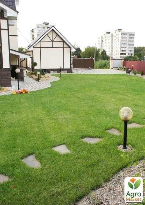 Газонная травосмесь "Лилипут" ТМ "Семейный сад" 800г - фото 3