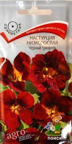 Настурция низкорослая "Черный трюфель" ТМ "Поиск" 1г