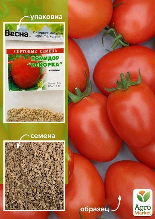 Томат "Іскорка" (Зипер) ТМ "Весна" 1г