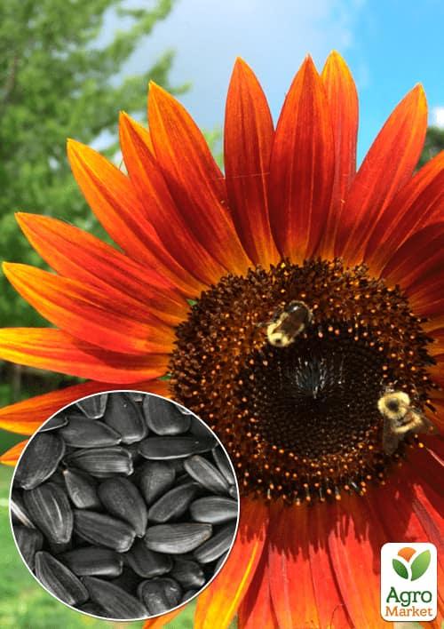 На вагу Соняшник "Шоколад" ТМ "Весна" ціна за 3г