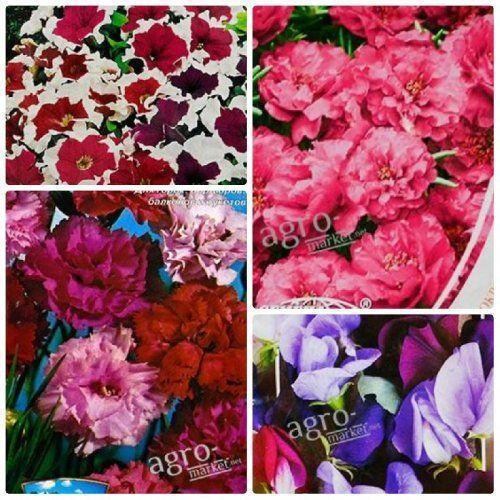 Комплект семян цветов "Ароматный букет" 5уп