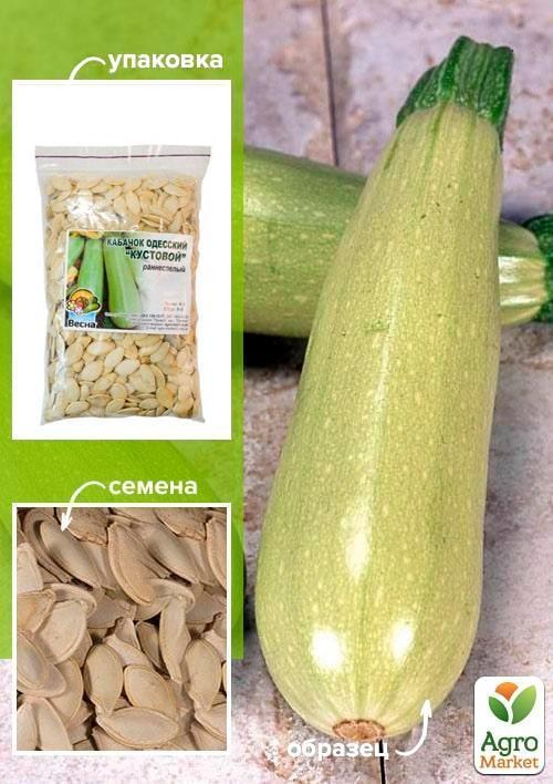 Кабачок "Одесский кустовой" ТМ "Весна" 100г