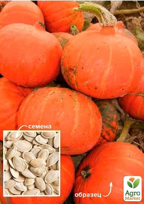 Тыква "Праздничный десерт" ТМ "Весна" 100г