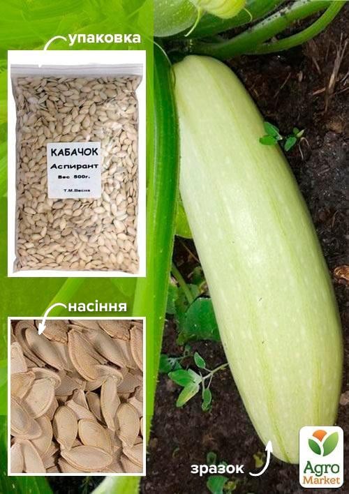 Кабачок "Аспирант" ТМ "Весна" 500г