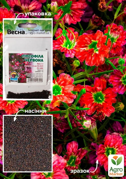 Гипсофила красная (Зипер) ТМ "Весна" 1г