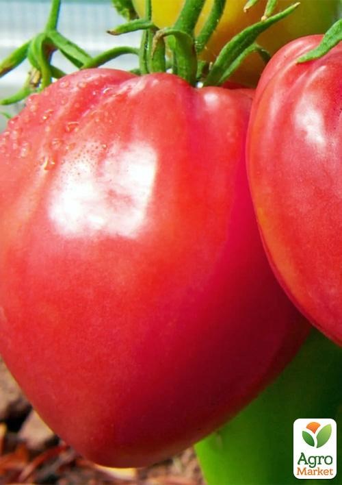 Томат "Sweet Cupcake" ТМ "Vesna Select" 0.2г