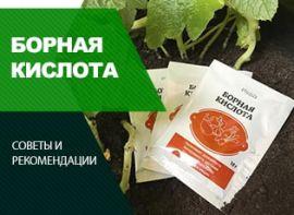 Борна кислота для рослин - корисні статті про садівництво від Agro-Market