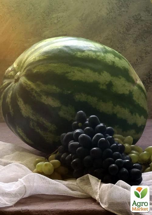 Арбуз "Кримсон Свит" (в банке) ТМ "Весна Органик" 10г