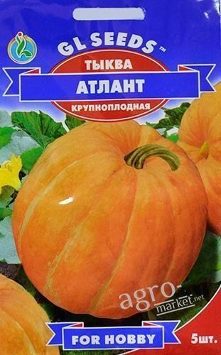 Гарбуз "Атлант" ТМ "GL SEEDS" 5шт