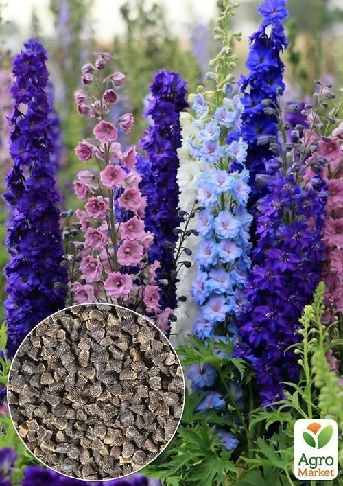 На вагу Дельфініум "Аякса" ТМ "Весна" ціна за 2г