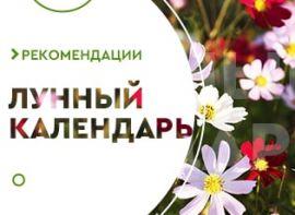 Місячний календар на червень 2021: сад, город - корисні статті про садівництво від Agro-Market