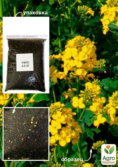 Ріпак ТМ "Весна" 500г