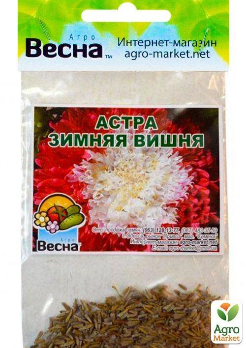 Айстра "Зимова вишня" (Зипер) ТМ "Весна" 0,5г - фото 2