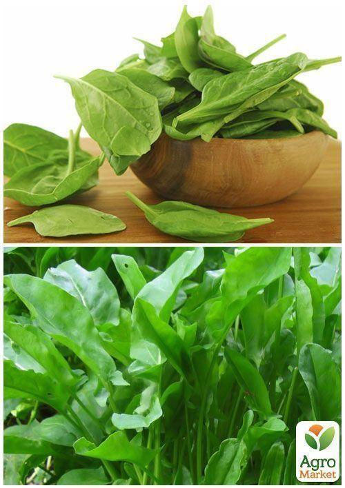 На вагу Щавель "Широколистий" ТМ "Весна" ціна за 6г - фото 3