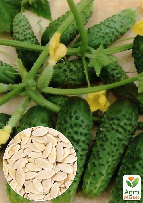 На развес Огурец "Примус" ТМ "Весна" цена за 2г