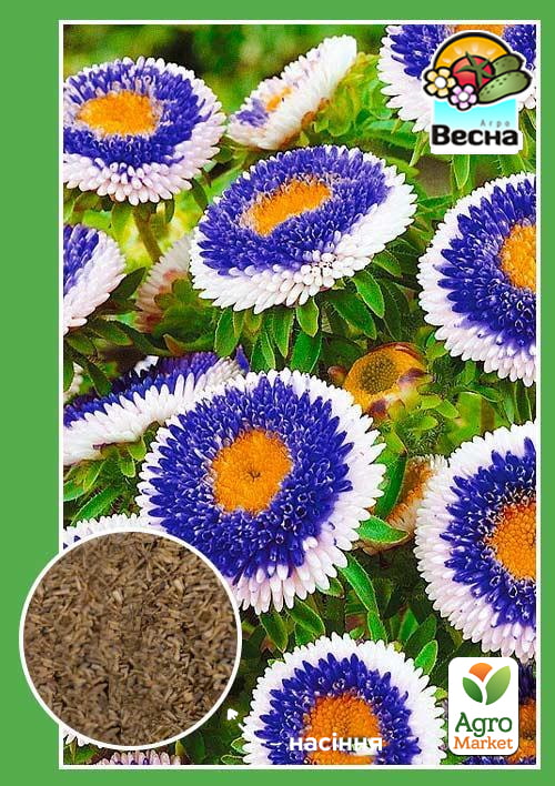 Астра "Голубая луна" ТМ "Весна" 0.2г