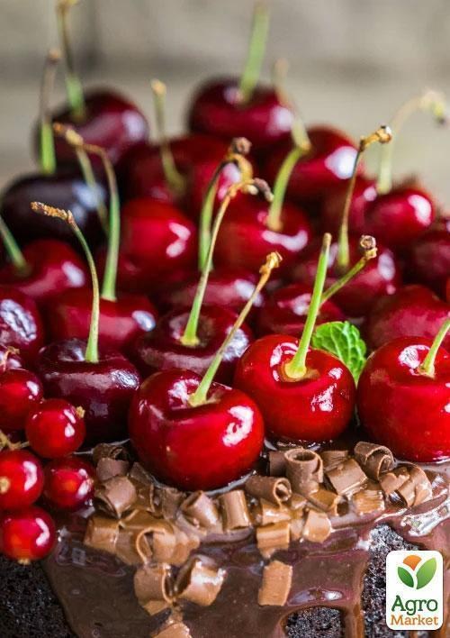 Ексклюзив! Вишня темно-червона "Полум'я любові" (Love flame) (преміальний високоврожайний сорт) - фото 2